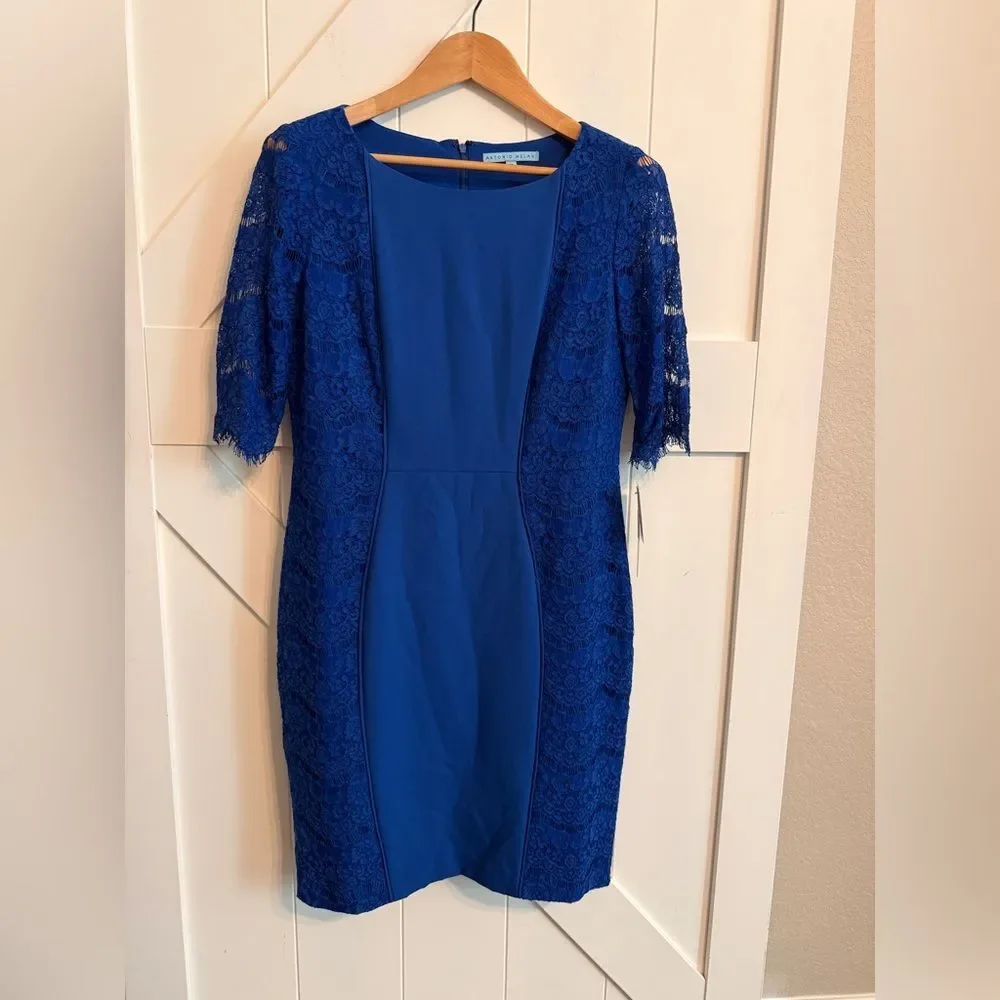 New ANTONIO MELANI Royal Blue Lace Midi Dress size 10 Lace - Picture 2 of 9